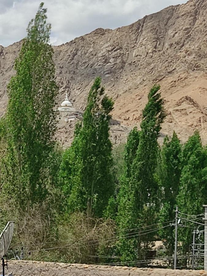 Paradise Leh Residency Bagian luar foto