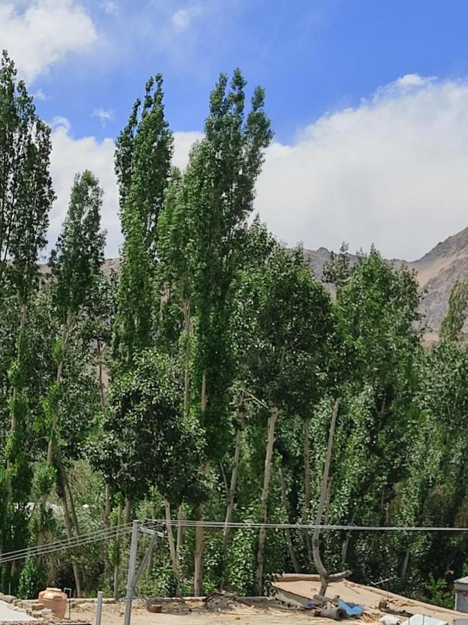 Paradise Leh Residency Bagian luar foto